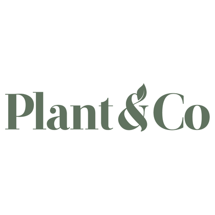 Plant&Co Engages Native Ads Inc. for Digital Media Services, by @newsfile