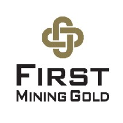First Mining Gold Corp., Large Gold Resource in Canada, CEO Clip Video ...